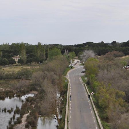 Vacances En Camargue Proche De La Mer Climatise เอก-มอร์ต ภายนอก รูปภาพ