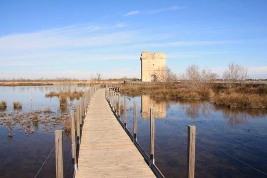 Vacances En Camargue Proche De La Mer Climatise เอก-มอร์ต ภายนอก รูปภาพ