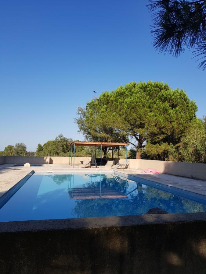 Vacances En Camargue Proche De La Mer Climatise เอก-มอร์ต ภายนอก รูปภาพ