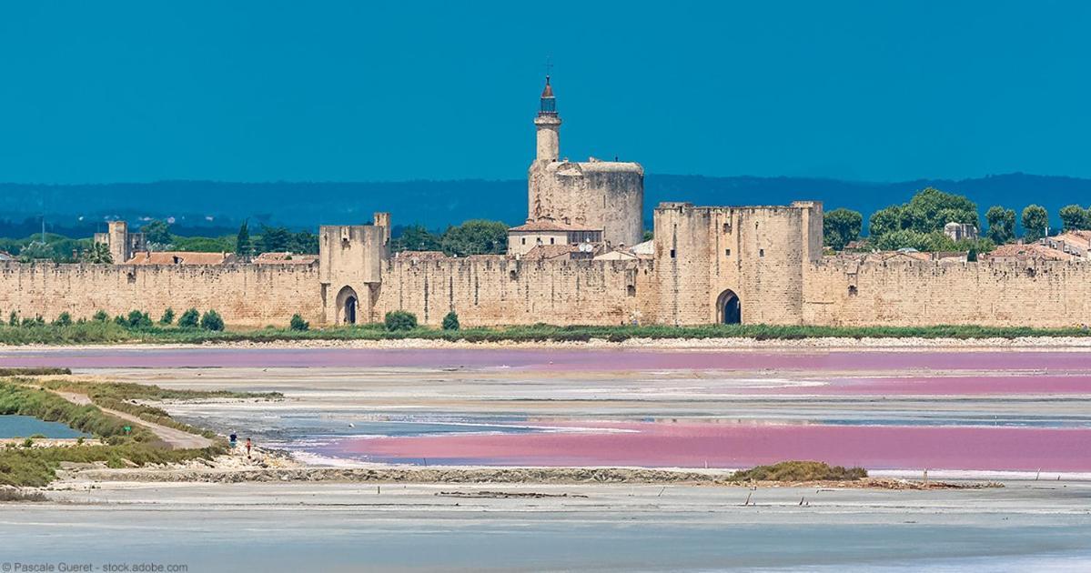 Vacances En Camargue Proche De La Mer Climatise เอก-มอร์ต ภายนอก รูปภาพ