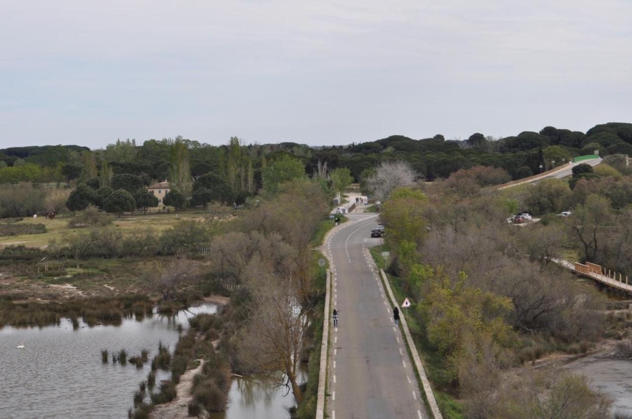 Vacances En Camargue Proche De La Mer Climatise เอก-มอร์ต ภายนอก รูปภาพ