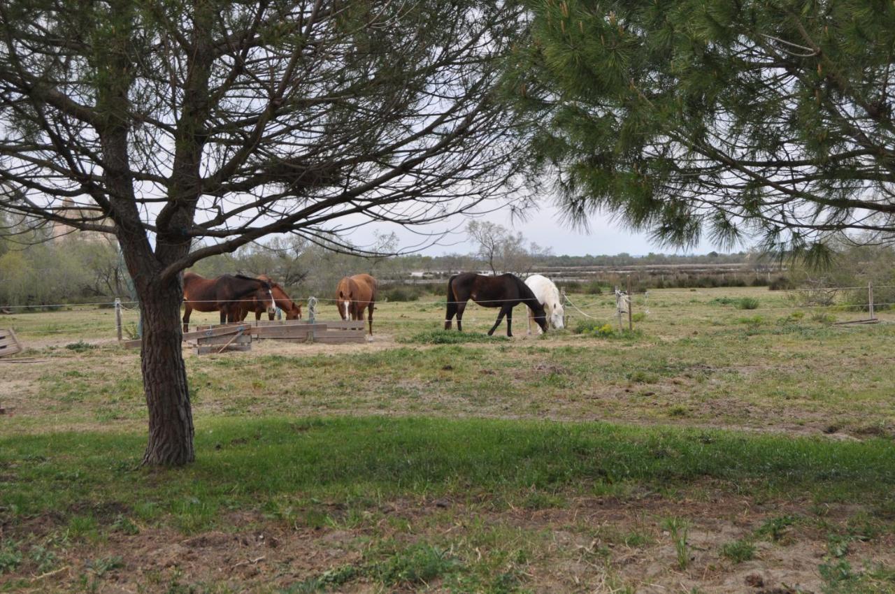 Vacances En Camargue Proche De La Mer Climatise เอก-มอร์ต ภายนอก รูปภาพ